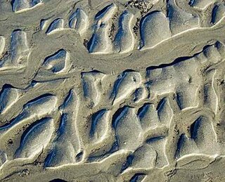 Strand / Fotographie