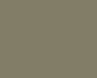 RAL 7002 Olivgrau / ESG -Sicherheitsglas