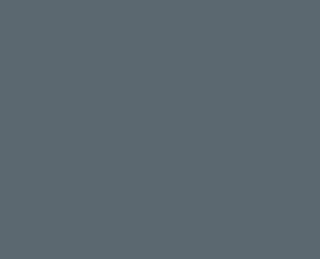 RAL 7031 Blaugrau / ESG -Sicherheitsglas