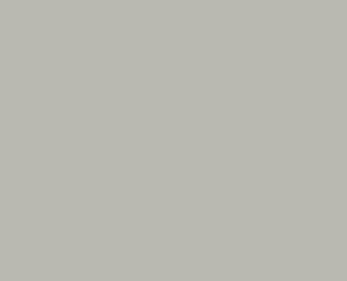 RAL 7044 Seidengrau / ESG -Sicherheitsglas